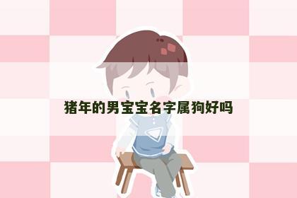 猪年的男宝宝名字属狗好吗