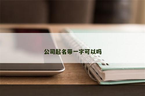 公司起名带一字可以吗