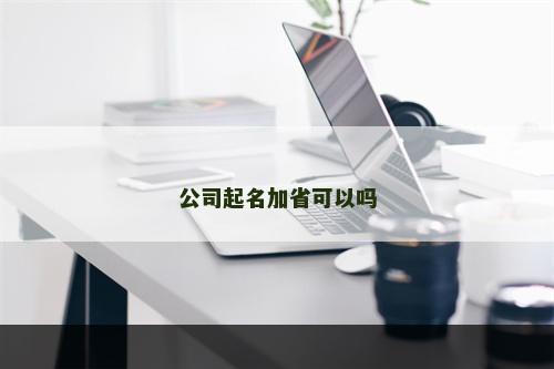 公司起名加省可以吗