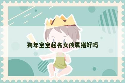 狗年宝宝起名女孩属猪好吗