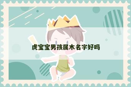 虎宝宝男孩属木名字好吗