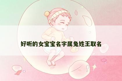 好听的女宝宝名字属兔姓王取名