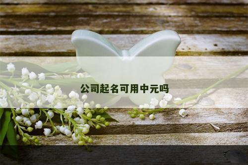 公司起名可用中元吗