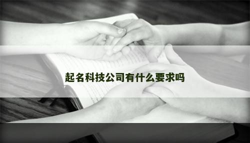 起名科技公司有什么要求吗