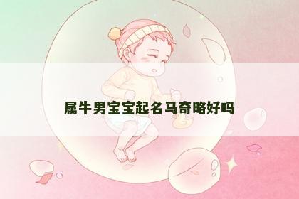 属牛男宝宝起名马奇略好吗
