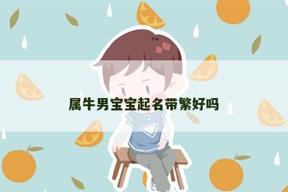 属牛男宝宝起名带繁好吗