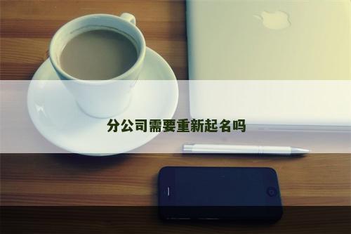 分公司需要重新起名吗
