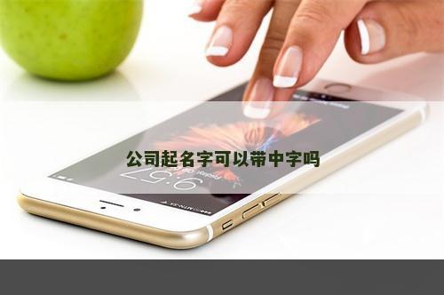 公司起名字可以带中字吗