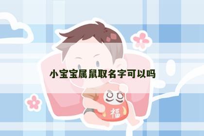 小宝宝属鼠取名字可以吗