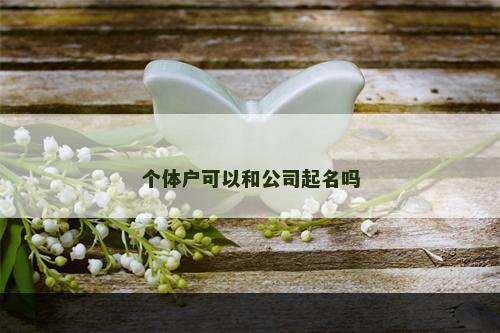 个体户可以和公司起名吗