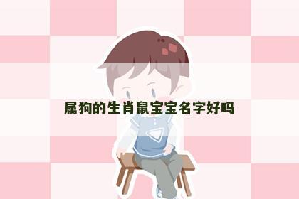 属狗的生肖鼠宝宝名字好吗