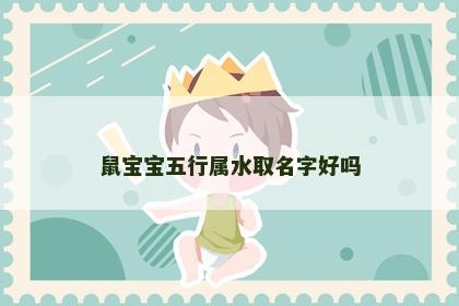 鼠宝宝五行属水取名字好吗