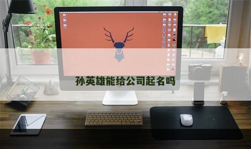 孙英雄能给公司起名吗