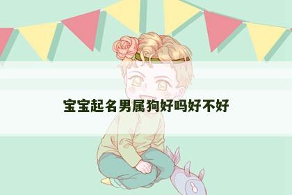 宝宝起名男属狗好吗好不好