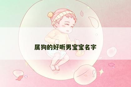 属狗的好听男宝宝名字