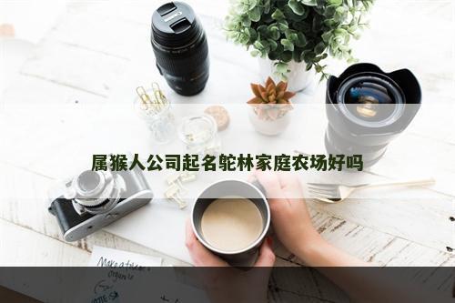 属猴人公司起名鸵林家庭农场好吗
