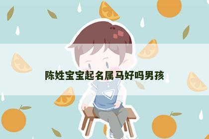 陈姓宝宝起名属马好吗男孩