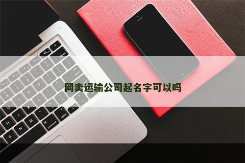 网卖运输公司起名字可以吗