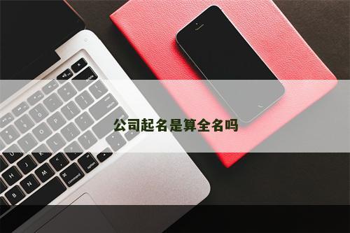 公司起名是算全名吗