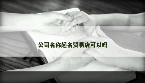 公司名称起名贸易店可以吗