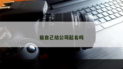 能自己给公司起名吗