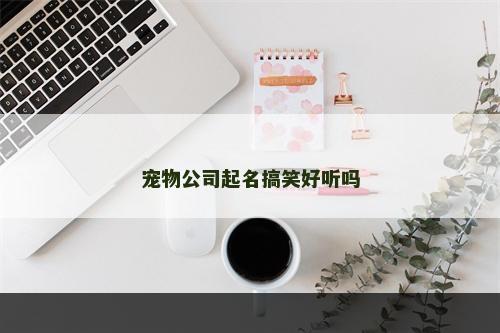 宠物公司起名搞笑好听吗