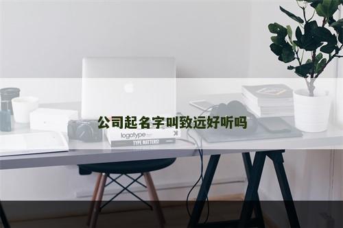 公司起名字叫致远好听吗