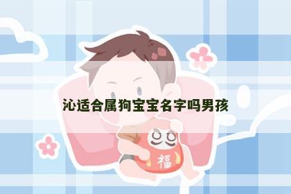 沁适合属狗宝宝名字吗男孩
