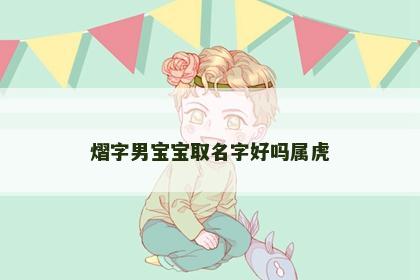 熠字男宝宝取名字好吗属虎