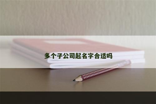 多个子公司起名字合适吗