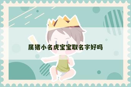 属猪小名虎宝宝取名字好吗