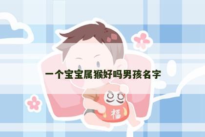 一个宝宝属猴好吗男孩名字