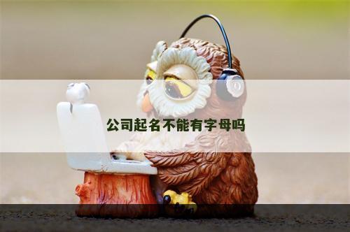 公司起名不能有字母吗