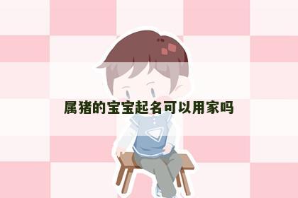 属猪的宝宝起名可以用家吗