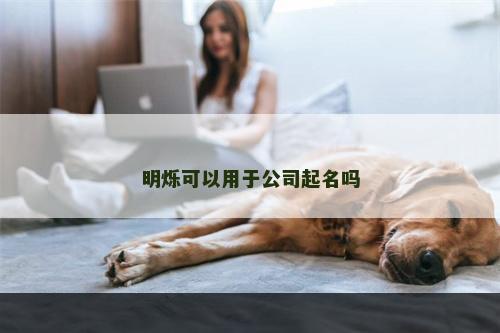 明烁可以用于公司起名吗
