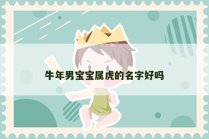 牛年男宝宝属虎的名字好吗