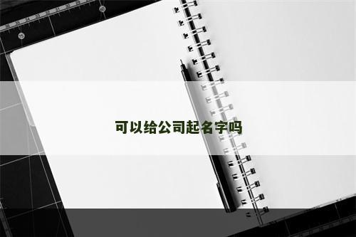 可以给公司起名字吗