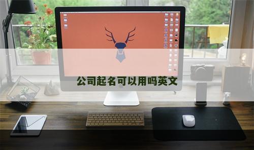 公司起名可以用吗英文
