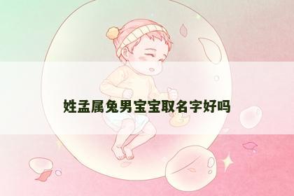 姓孟属兔男宝宝取名字好吗