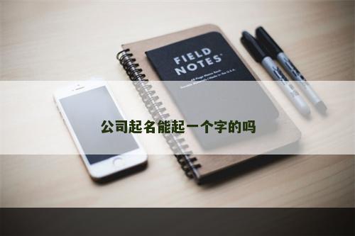 公司起名能起一个字的吗