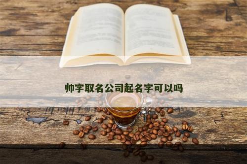 帅字取名公司起名字可以吗