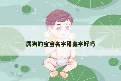 属狗的宝宝名字用鑫字好吗