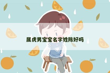 属虎男宝宝名字姓陈好吗