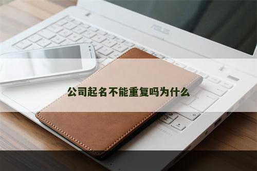 公司起名不能重复吗为什么
