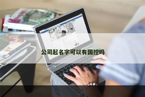 公司起名字可以有国控吗