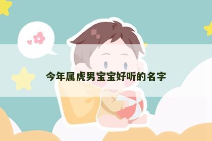 今年属虎男宝宝好听的名字
