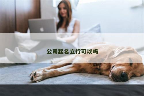 公司起名立行可以吗