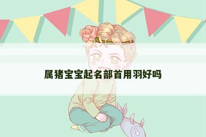属猪宝宝起名部首用羽好吗