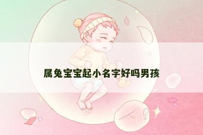 属兔宝宝起小名字好吗男孩