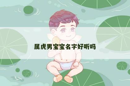 属虎男宝宝名字好听吗